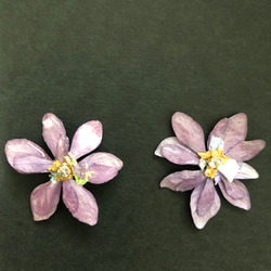 輝く多花びらの紫陽花のピアス・イアリング ドライフラワーを使用、レジン作品 1枚目の画像