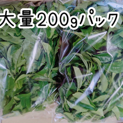 [販売中]お試し100g 採れたて2番茶 お茶の葉 新芽 生茶葉 無農薬  伊勢茶 2枚目の画像