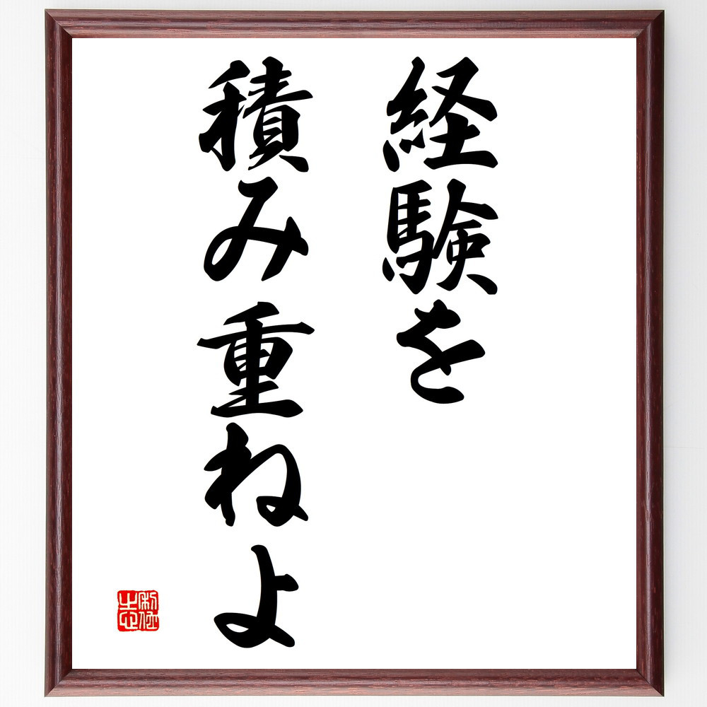 名言「経験を積み重ねよ」手書き書道色紙額／受注後の毛筆直筆（V2826）