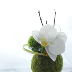 苔玉×胡蝶蘭の和アレンジ 　 アーティフィシャルフラワー　ホワイトグリーンインテリア　和モダン 2枚目の画像