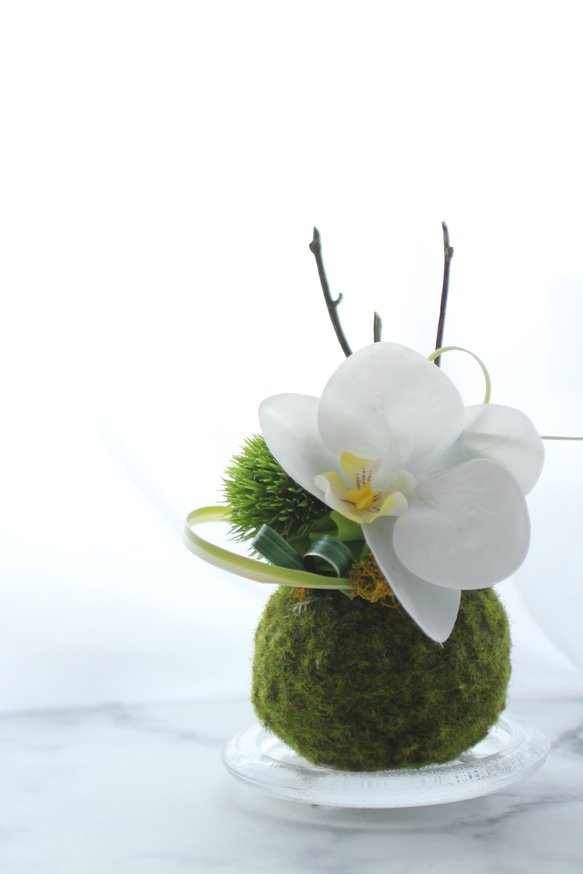 苔玉×胡蝶蘭の和アレンジ 　 アーティフィシャルフラワー　ホワイトグリーンインテリア　和モダン 2枚目の画像
