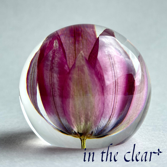植物標本　チューリップ　紫　レジン　５センチ球体 7枚目の画像