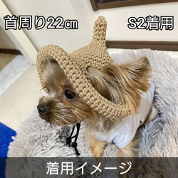 犬の帽子 どんぐり帽子☆とんがり帽子 9枚目の画像