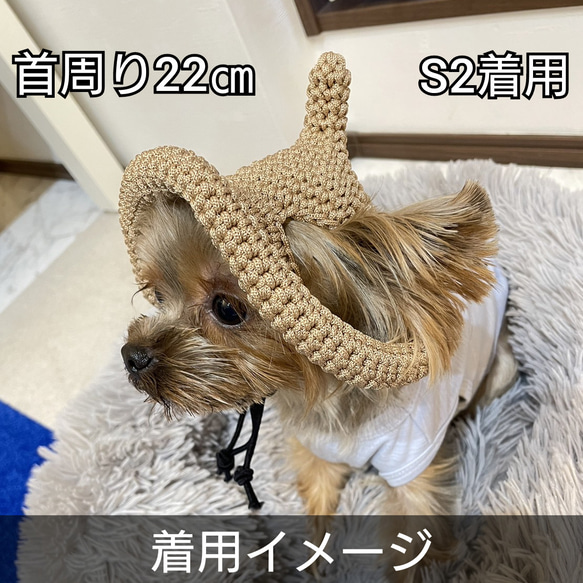 犬の帽子 どんぐり帽子☆とんがり帽子 9枚目の画像