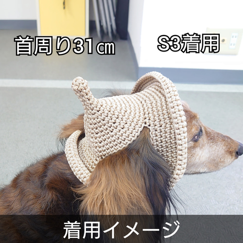 犬の帽子 どんぐり帽子☆とんがり帽子 ペット服・アクセサリー