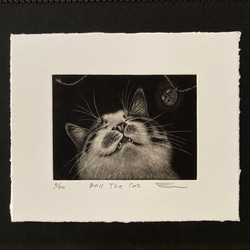 銅版画「Bell The Cat」シート 2枚目の画像