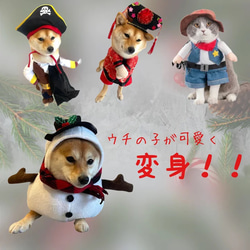 犬 猫 衣装 なりきり 着ぐるみ コスチューム コスプレ ペット 用品 半袖 男の子 女の子 サイズ S M L XL 2枚目の画像