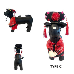 犬 猫 衣装 なりきり 着ぐるみ コスチューム コスプレ ペット 用品 半袖 男の子 女の子 サイズ S M L XL 9枚目の画像