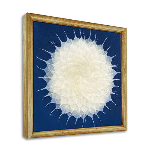 リーフパネル [大花は菩提樹の葉スケルトンで] インテリア 菩提樹の葉