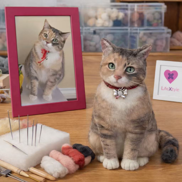 羊毛フェルト 猫 オーダーメイド｜うちの子 記念品 リアルドール 羊毛