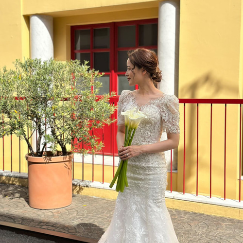 ビジュー マーメイド 半袖 韓国スタイル ウェディングドレス ドレス  