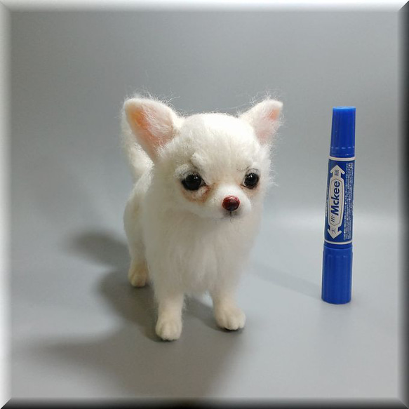 羊毛フェルト犬 チワワ