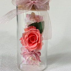 コルク瓶の飾り　プリザーブドフラワー　バラ　ガラス瓶　ギフト　プレゼント 1枚目の画像