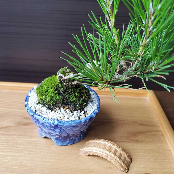 あなただけの世界をどうぞ【ミニチュア　橋（小）】はし ハシ 枯山水 苔テラリウム 苔盆栽 添配 陶器 4枚目の画像