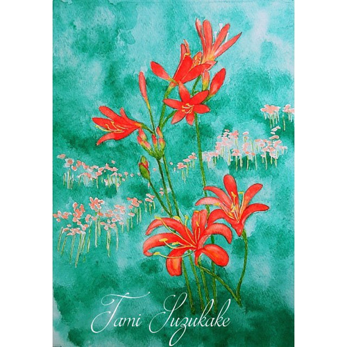水彩画・原画「野の花キツネノカミソリ」 絵画 tami suzukake 通販
