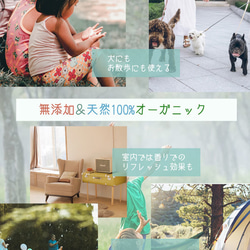 【携帯に便利】オーガニックアロマ虫除けスプレー・アンチバグ/おしゃれなガラスボトル+容量100ml 6枚目の画像