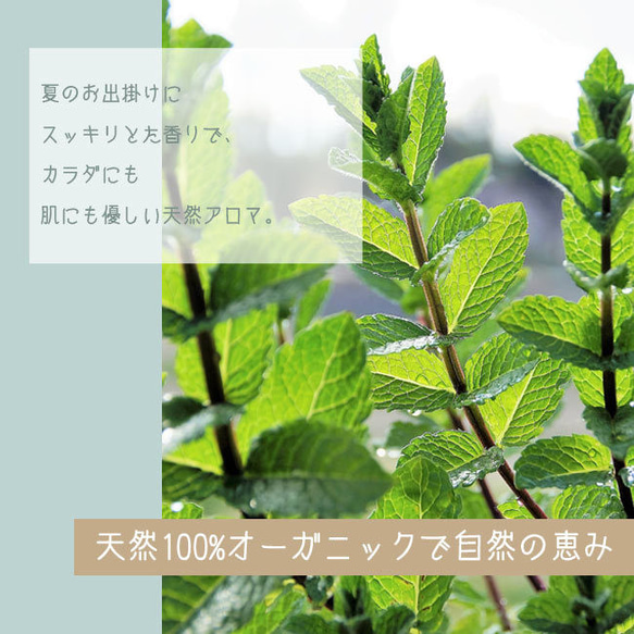 【携帯に便利】オーガニックアロマ虫除けスプレー・アンチバグ/おしゃれなガラスボトル+容量100ml 2枚目の画像