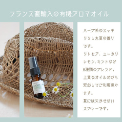 【携帯に便利】オーガニックアロマ虫除けスプレー・アンチバグ/おしゃれなガラスボトル+容量100ml 4枚目の画像