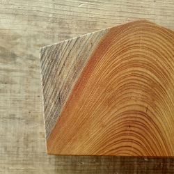 【木製看板製作】 一枚板 欅 19cm×28cm / 無垢 ５角 3枚目の画像