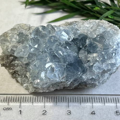 天使の石໒꒱✨虹入り セレスタイト 天青石 クラスター 原石 ラフ