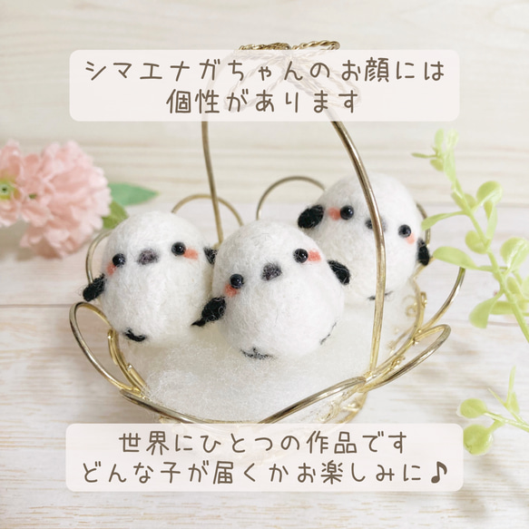 ✿人気商品✿ ♡ちびころ シマエナガちゃんといっしょ♡ 羊毛フェルト しまえなが チャーム キーホルダー バッグチャーム 8枚目の画像