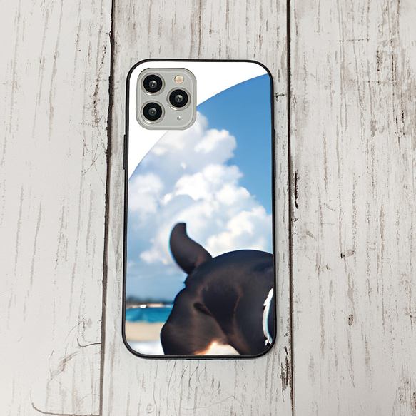 iphoneケース1-1-20 iphone 強化ガラス 犬・いぬ・ワンちゃん 箱7 かわいい アイフォン iface 1枚目の画像