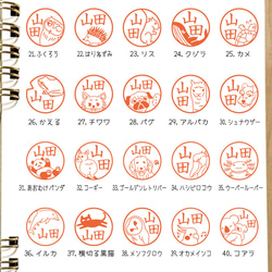  第4張的照片