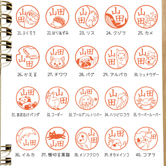  第4張的照片