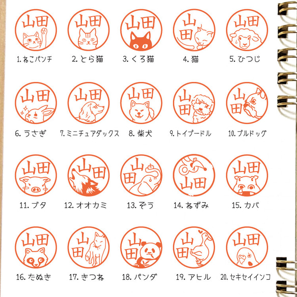  第3張的照片