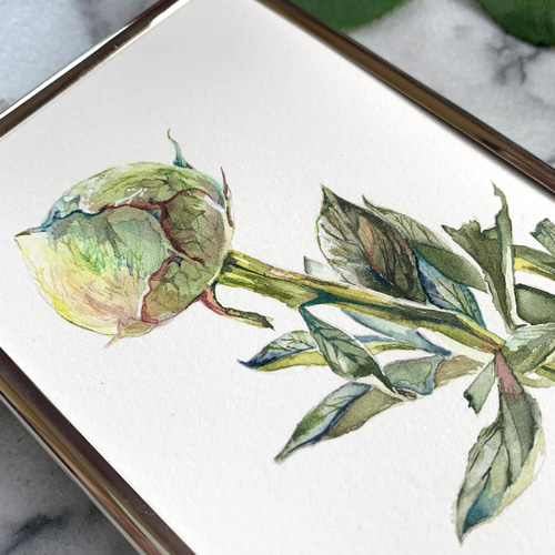 水彩画絵画 「化粧直し」