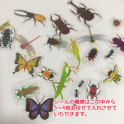 夏休み工作キット　昆虫の夏空飾り 5枚目の画像