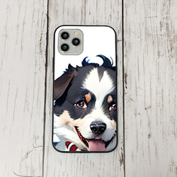 iphoneケース1-4-48 iphone 強化ガラス 犬・いぬ・ワンちゃん 箱7 かわいい アイフォン iface 1枚目の画像