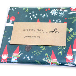 カットクロス Paintbrush Studio Fabrics Gnome Noel Gnome Village GR 2枚目の画像