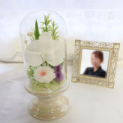 仏花 ドーム プリザーブドフラワー ガラスドーム「 胡蝶蘭」 お悔やみ