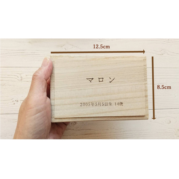 うちの子思い出BOX【ペットメモリアル うちの子記念 ペット用品 ペットの毛 ペット遺毛 ペット供養 名前入り 犬 猫】 8枚目の画像