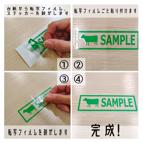 日産 ノートオーラ カッティングステッカー アウトドア シール  