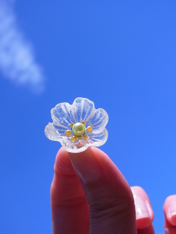 そぼ降る雨のサンカヨウ（山荷葉）ピアス 2枚目の画像