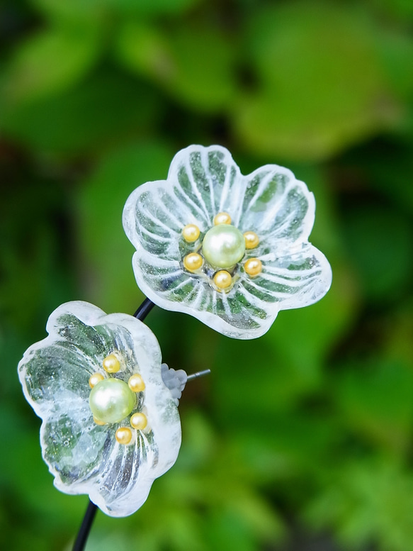 そぼ降る雨のサンカヨウ（山荷葉）ピアス ピアス（スタッド・一粒