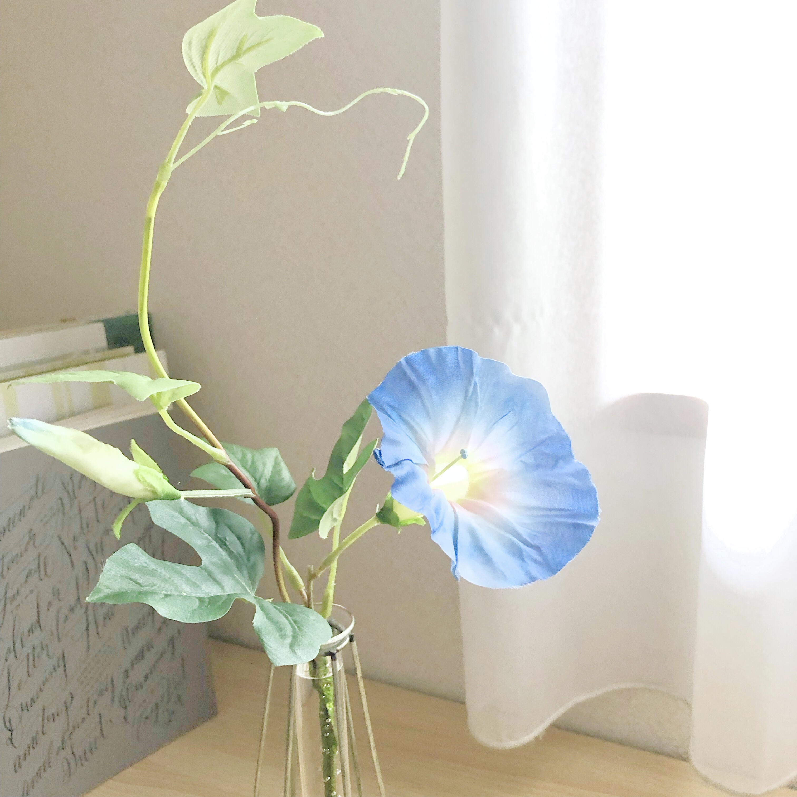 夏の風物詩 「青いあさがお」フェイクウォーターの一輪挿しアレンジ