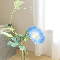 ラベンダー の リース ラベンダー 葉っぱ リース ラベンダーとユーカリ