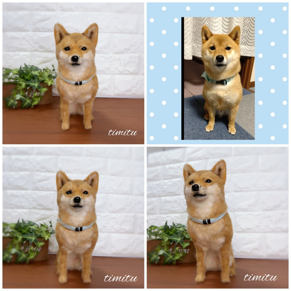 ◆こちらはサンプル画像になります◆羊毛フェルト♡ 愛犬 オーダー マスコット 柴犬 6枚目の画像