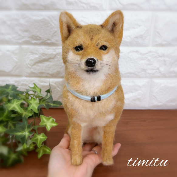 ◆こちらはサンプル画像になります◆羊毛フェルト♡ 愛犬 オーダー マスコット 柴犬 5枚目の画像