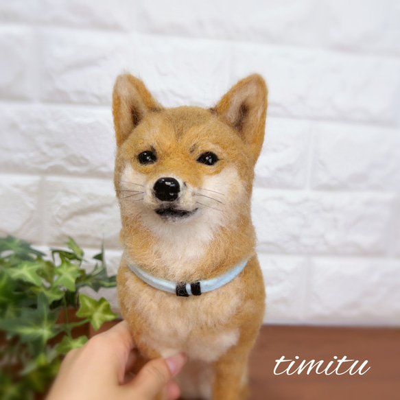 ◆こちらはサンプル画像になります◆羊毛フェルト♡ 愛犬 オーダー マスコット 柴犬 3枚目の画像