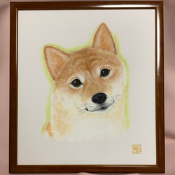 【原画】優しい柴犬さん 1枚目の画像