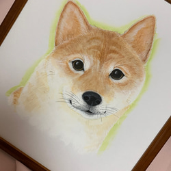 【原画】優しい柴犬さん 2枚目の画像