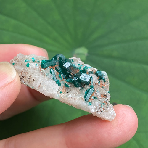 癒しのグリーン ダイオプテーズ 原石 06 Dioptase on Quartz 天然石