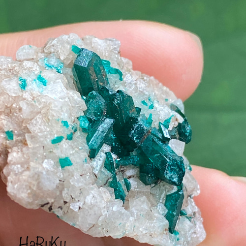 癒しのグリーン ダイオプテーズ 原石 06 Dioptase on Quartz 天然石