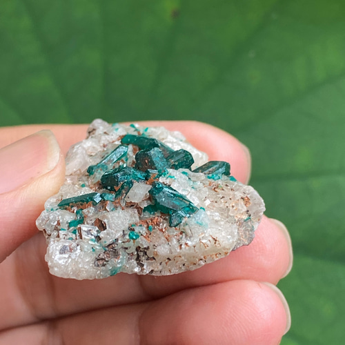 癒しのグリーン ダイオプテーズ 原石 06 Dioptase on Quartz 天然石