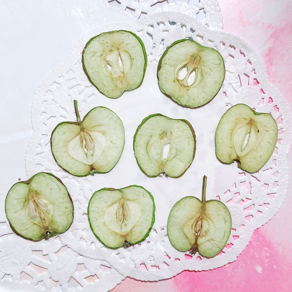 グリーンアップル 摘果りんご 押しフルーツ 8枚 素材 姫りんご キャンドル ハーバリウム レジン リンゴ 林檎 1枚目の画像