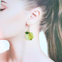 ミニ姫りんご 小さい 姫りんご 押しフルーツ ８枚 素材 キャンドル レジン 3枚目の画像